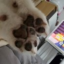 소태동 여유드림 24시 무인셀프빨래방