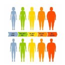 나인원핏 이미지