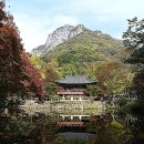 백양사 이미지