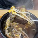 송화로19번길 26-3 | 멍우리 협곡 캠핑장 후기 | 애견 동반 가능한 경기도 포천 캠핑장 추천