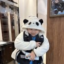 정관 팀매드 이미지