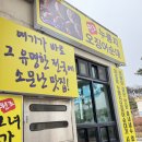 모녀가리비 | [속초 맛집] 콩콩팥팥 누룽지오징어순대 맛집 모녀가리비 내돈내산 후기
