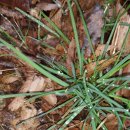 시골별장 이미지