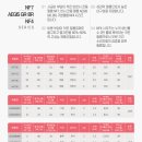 나노모터스 이미지