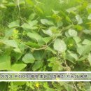 상형농장 이미지