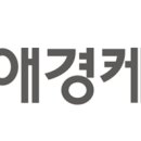 애경케미칼, 글로벌 배터리기업에 나트륨배터리 핵심 &#39;하드카본 음극재&#39; 테스트 진행 이미지
