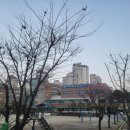 동화초등학교 이미지