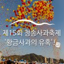 청송사과축제 &#39;황금사과의 유혹&#39; :: 청송사과축제후기, 황금사과의유혹, 포토존, 볼거리, 먹거리, 다양...