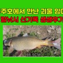송악민박 | 충주호에서 만난 괴물 잉어! 릴낚시 신기록 생생후기 새로운 생명을 연못 방류, 옥순대교 인근 하얀 집...