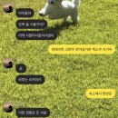 리라안경 | 얼렁뚱땅 3월😎