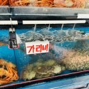 [맛집]구룡포 시장 대게 맛집 ‘이준오구룡포수산‘내돈내산 후기