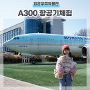 고양 항공우주박물관 대한항공 A300 비행기 어린이체험