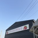 고양농장2 | [고양, 일산] 서울 근교 다인이네 딸기체험 농장, 후기/ 근처 식당