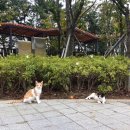 523갤러리 이미지