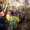 12월1일(토요일)대모산 구룡산 정기산행 안내 이미지