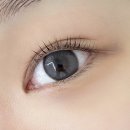 미더베스트 홍대점 속눈썹 펌 후기 : 홍대 속눈썹 펌 잘하는 곳