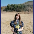 엠엘학원 | 엘엠엠엘 스튜디오 lmml studio SIGNATURE EGG FLOWER FLARE DRESS - NAVY