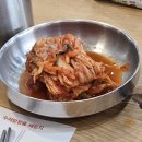 최네집 이미지