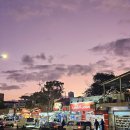 Friends Bean(프렌즈빈) | 요르단 아카바 여행 / 홍해 보트 체험 / 아카바 술 파는곳