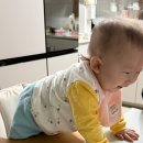 낙상 | 11개월 아기 아기의자 낙상사고 후기