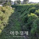 호현천 이미지