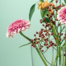 스텔라여성의원 이미지