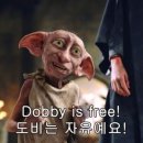 자유로운집 이미지
