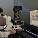 와이디바이오 이미지