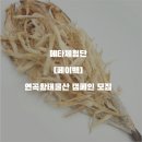 연곡황태 이미지
