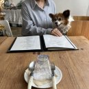 양지로92번길 | 레오스토랑 | 부천애견동반식당 (옥길동 애견동반 카페 추천)