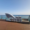 아인스빌(민간개방화장실) | [여행/후기] 정동심곡 바다부채길🌊_신비로운 겨울 바다를 만난 어느 좋은날