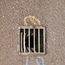 망월천_호수공원4 이미지