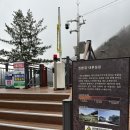 출렁다리마을 | 지리산 중산리 가볼만한곳 엄마랑 산책하기 좋은 예치마을 출렁다리 비 오는 날 미끄럼 주의 및 방문 후기