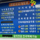 완도읍-11 | 완도 여행,완도 맛집 귀빈식당 내돈내산 후기