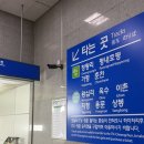 이디야춘천소양강점 | 춘천 당일치기 여행🌿