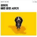 개님살롱 이미지