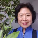 정방C반 최종례 이미지