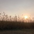 숲뜰근린공원 이미지