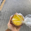 몽마루 | 인헌시장 빵집 몽마베이커리 에그타르트 내돈내산 간단후기