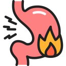 더나음 피티 이미지