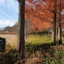 물빛근린공원 이미지