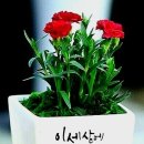 하얀나무 - 중구 큰장로26길 65 | 하얀나무
