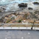 달보드레펜션 이미지