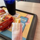 맘스터치 인덕원점 | 롯데리아 침착맨 콜라보 신메뉴 파이어핫 그릭랜치 후기