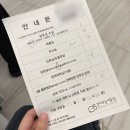 (주)메디플렉스 | 감자와눈사람 전원 후 시험관 재도전! 난자채취 전까지 기록