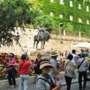 비모스트 이미지