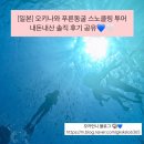 11월 오키나와 날씨, 푸른동굴 스노클링 투어 찐후기...장단점, 예약방법, 상세후기, 주차 및 준비물...