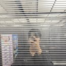 해수온천 바다스파랜드펜션 이미지