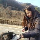 보담 이미지