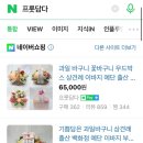 과일파는총각들